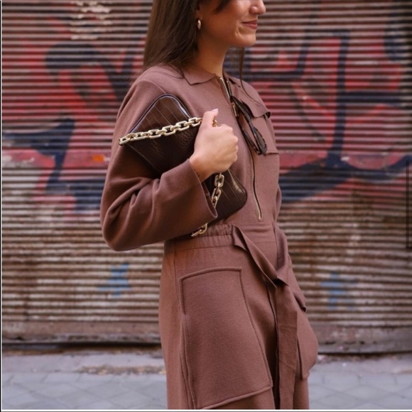 Zara Burgundy Brown Fall Chain Strap Animal Embossed Shoulder Bag - Picture 7 of 15